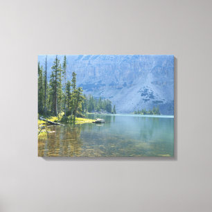 Toile États-Unis, Utah, Forêt nationale d'Ashley, High U