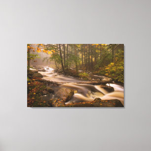 Toile États-Unis, Vermont, East Arlington, Ruisseaux cou