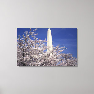 Toile États-Unis, Washington DC. Festival des fleurs de 