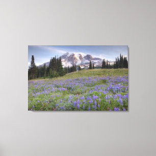 Toile États-Unis, Washington, Mt. Rainier NP, Mt. Raini