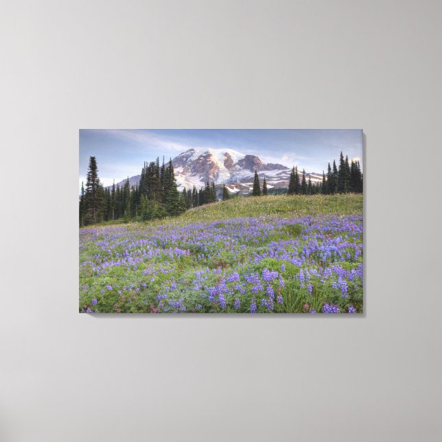 Toile États-Unis, Washington, Mt. Rainier NP, Mt. Rainie (Recto)