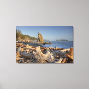 Toile États-Unis, Washington, Parc national Olympique, R