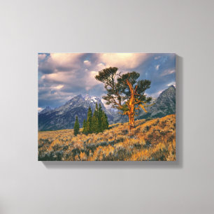 Toile États-Unis, Wyoming, Grand Teton NP. Le lever du s
