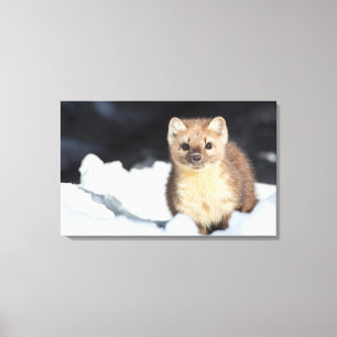 Toile États-Unis, Wyoming, Yellowstone National Park