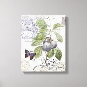 Toile étirée par prune botanique française vintage