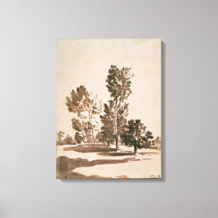 Toile Étude d'arbre (stylo et encre sur le papier)