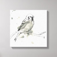 Étude des oiseaux de la nature