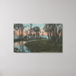 Toile Eustis, la Floride - vue de canal marécageux
