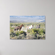 Exécuter Free Forever