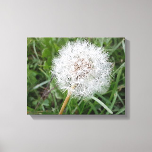 Toile Faire un voeu (Recto)