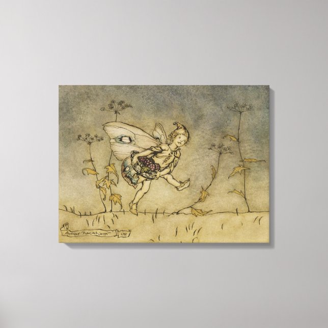 Toile Fairy, illustration de "A Midsummer Night's Drea (Recto)