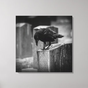 Toile Falln Cemetery Crow