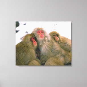 Toile Famille de macaque japonais, Jigokudani,