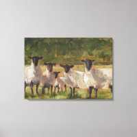 Famille de moutons