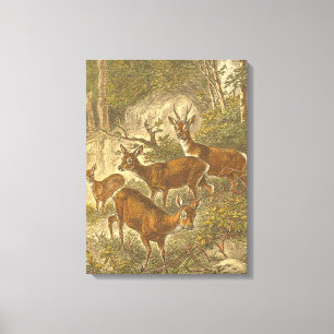 Toile Famille des oeufs de poisson - cerfs communs dans