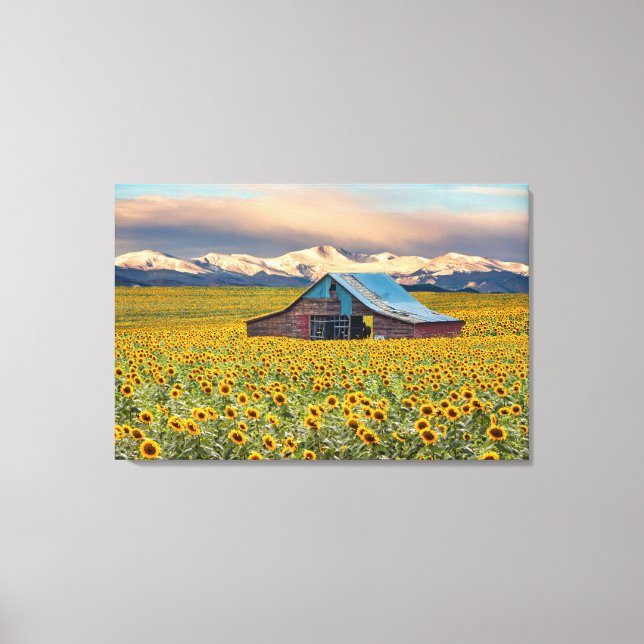 Toile Farms | Field (Recto)