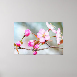 Toile Fascination Des Fleurs Sakura Dans Le Jardin Du Pr