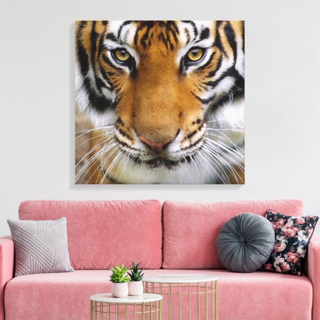 Toile Faune Beau Tigre Piercing Brown yeux (Insitu(Salon))