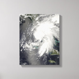 Toile Fée tropicale 2 de tempête