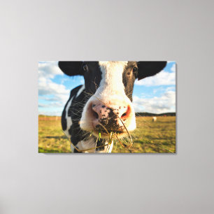 Toile Fermes   Vache Holstein Chewing