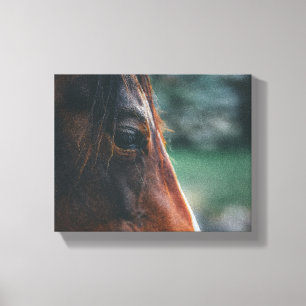 Toile Fermeture Brown du cheval