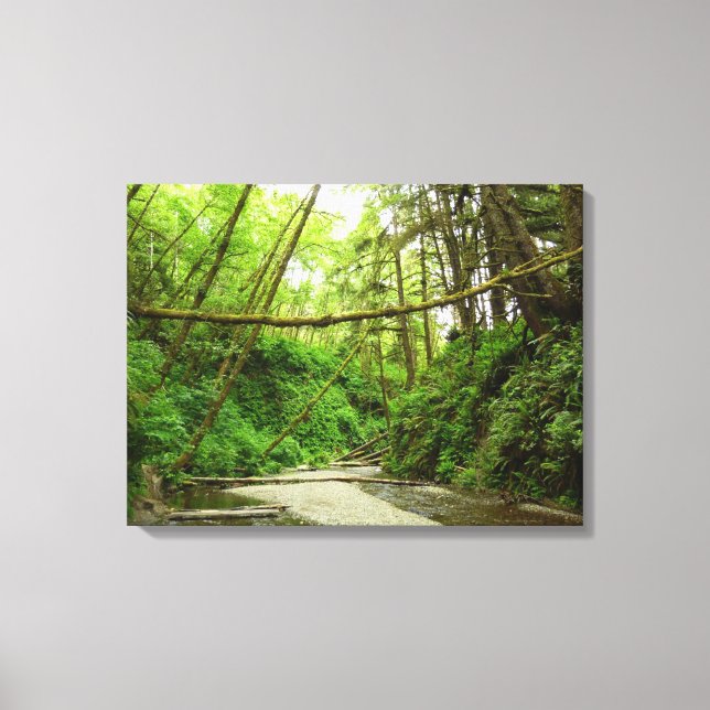 Toile Fern Canyon I au Redwood National Park (Recto)
