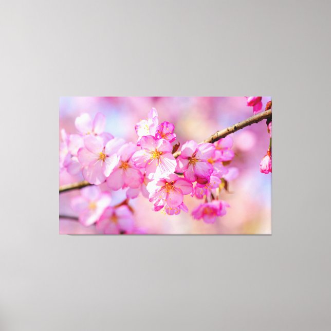 Toile Festival Du Printemps De Sakura Rose Fleur (Recto)