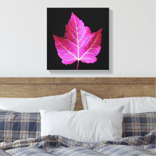 Toile Feuille de Érable Rouge d'Automne sur Fleur Noir