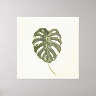 Toile Feuille de Monstera Variegée Minimaliste Crème Vin