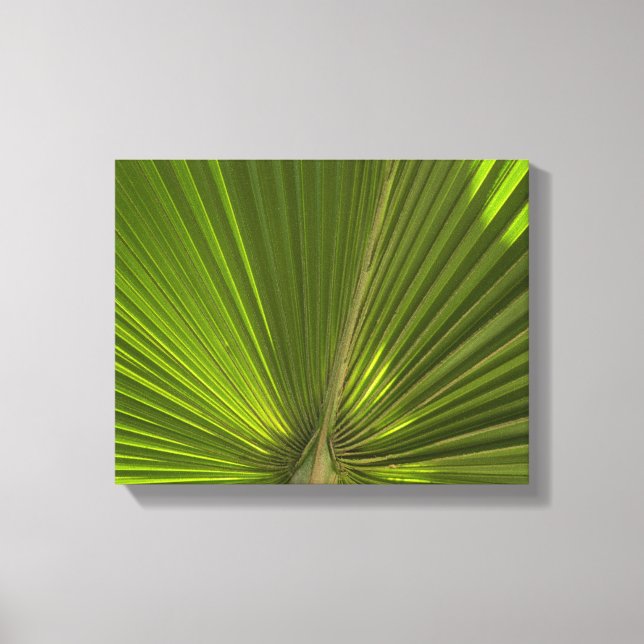 Toile Feuille de palmier tropical vert (Recto)