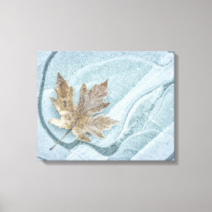 Toile Feuille d'érable gelée sur de la glace