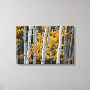 Toile Feuille jaune et troncs d'arbre blancs