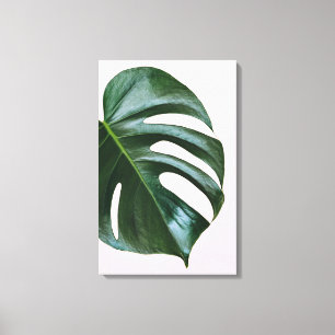 Toile Feuille tropicale de Monstera