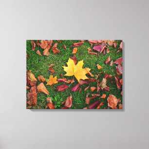 Toile Feuilles d'automne