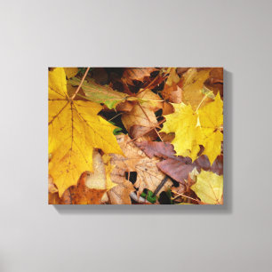 Toile Feuilles de Érable Tombées Jaune Automne Nature