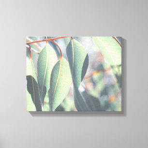 Toile Feuilles d'Eucalyptus vert pâle