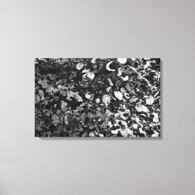 Toile Feuilles éclairés (Recto)