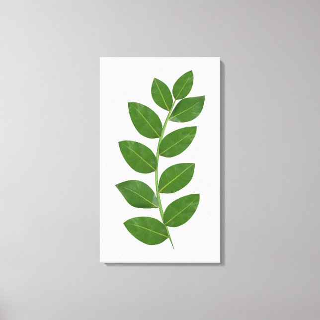 Toile Feuilles modernes de Green Bay (Recto)