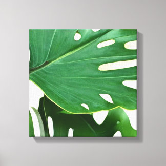 Toile Feuilles Monstera