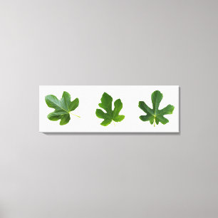 Toile Feuilles vertes closeup isolé sur arrière - plan b