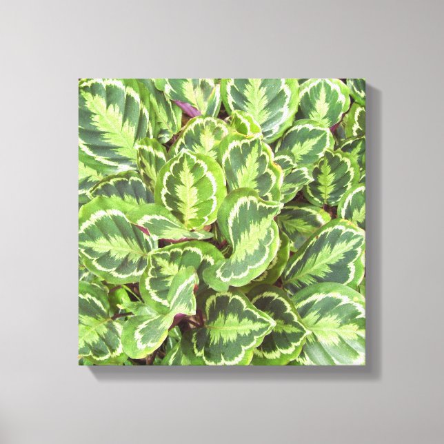 Toile Feuilles verts (Recto)