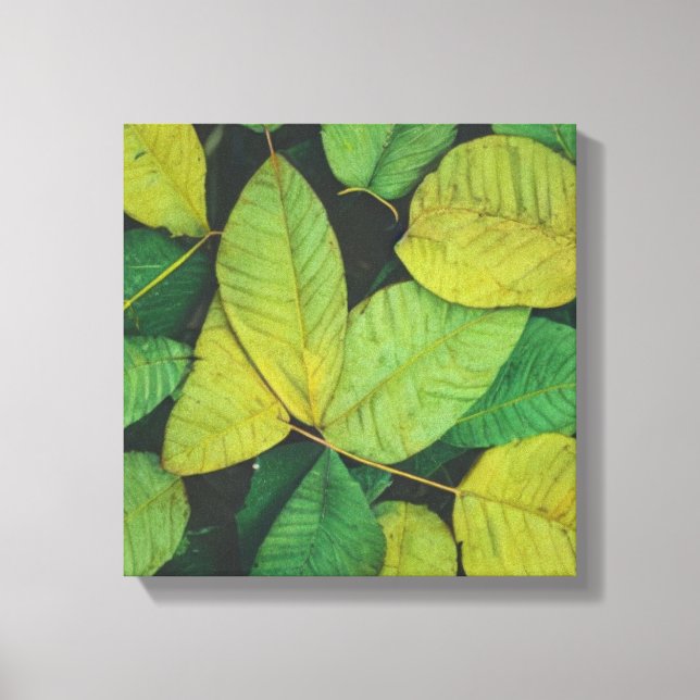 Toile Feuilles verts (Recto)