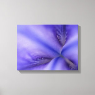 Toile Fin pourpre de fleur d'iris