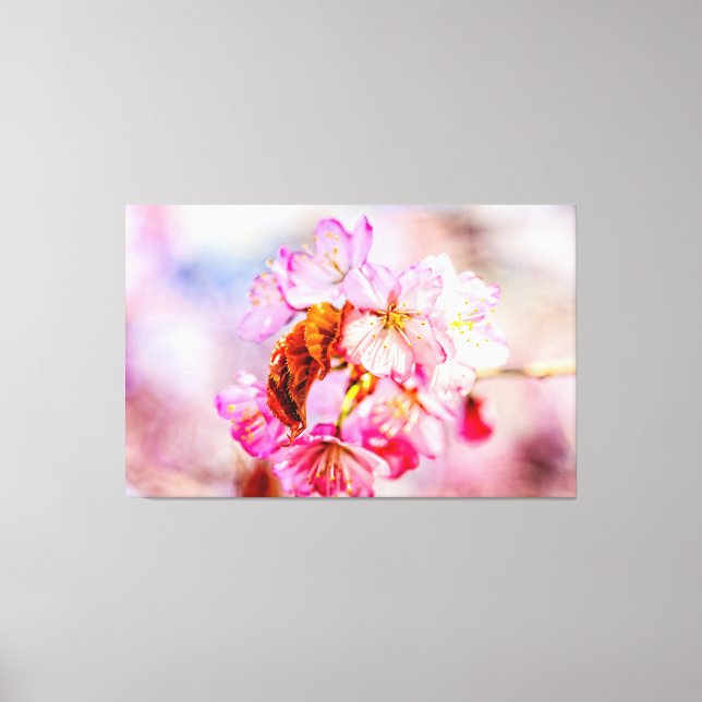 Toile Flacon De Fleurs De Sakura Rose Au Printemps (Recto)