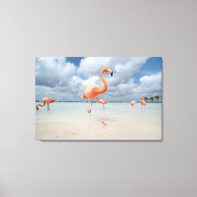 Toile Flamants roses Beach Aruba (Recto)