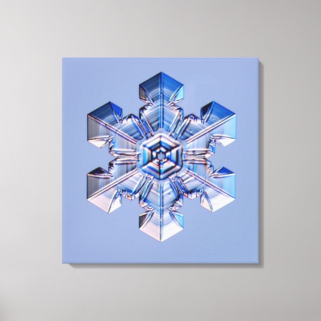 Toile Flèche de neige 3 (Recto)