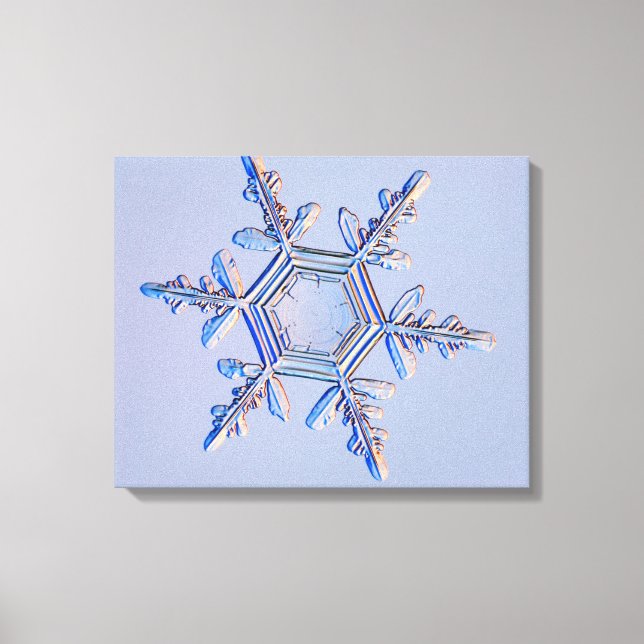 Toile Flèche de neige 4 (Recto)
