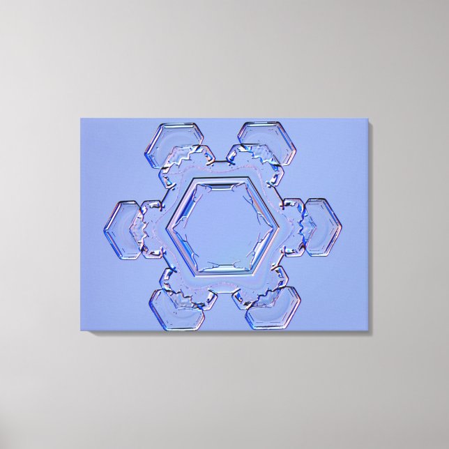 Toile Flèche de neige 6 (Recto)