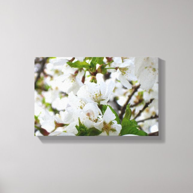 Toile Fleur blanche (Recto)