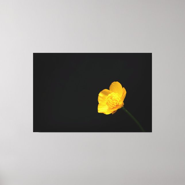 Toile Fleur Buttercup 60x40 (150x100cm) waccna (Recto)